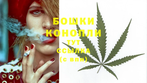 спиды Костерёво
