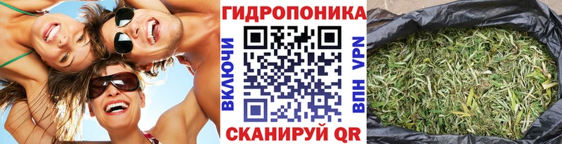 Конопля Amnesia  Купить где  Воронеж 